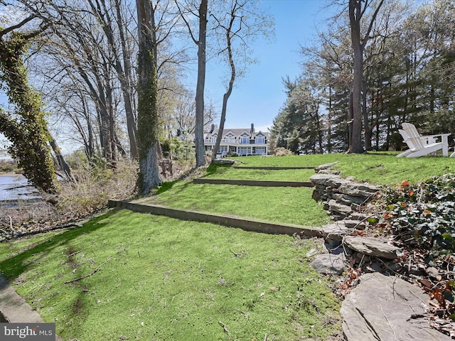 view of yard