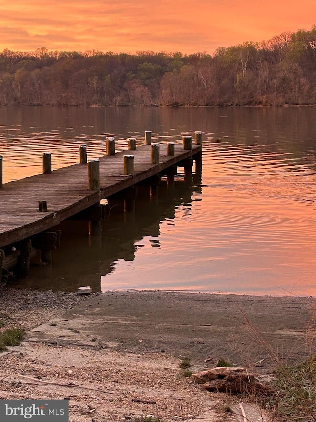 dock area with a wooded view and a water view