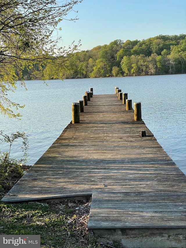 dock area with a view of trees and a water view