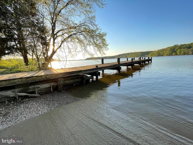 dock area featuring a water view