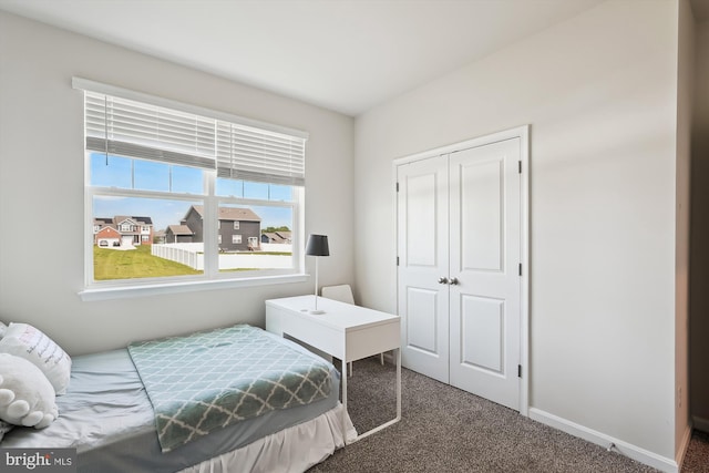 348 Tyson Dr, Berryville, VA 22611 - bedroom featuring carpet floors, a closet, and baseboards