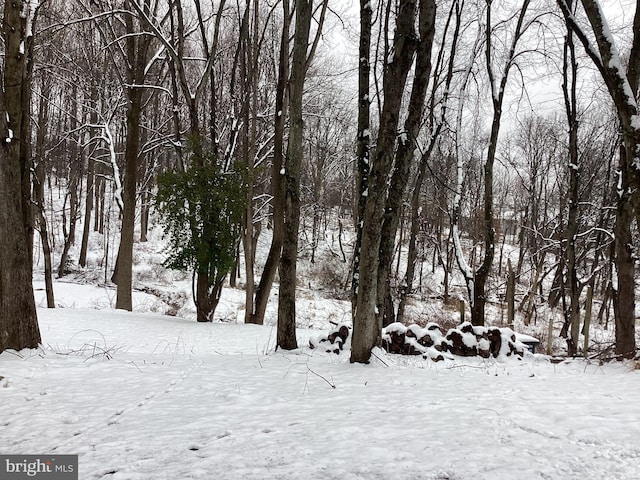 view of snowy view