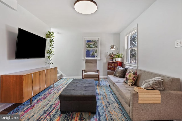 living room with baseboards and wood finished floors