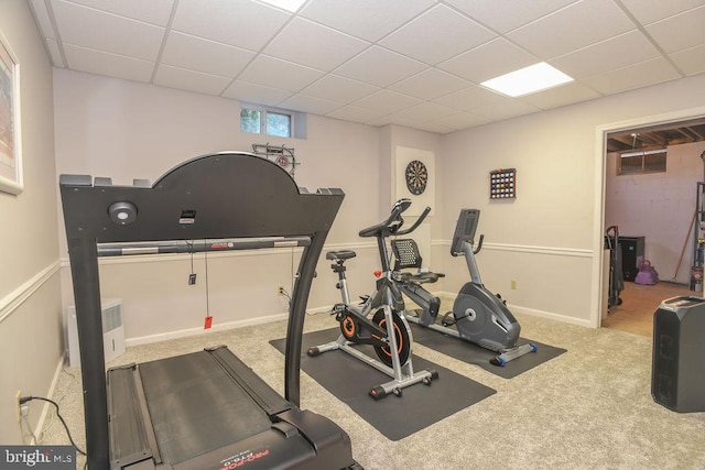 workout area featuring carpet, baseboards, and a paneled ceiling