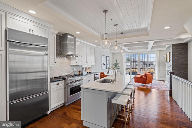 kitchen featuring premium appliances, wall chimney exhaust hood, backsplash, a tray ceiling, and a sink