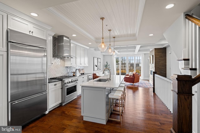 kitchen featuring premium appliances, a sink, wall chimney range hood, a tray ceiling, and tasteful backsplash