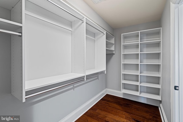 walk in closet with dark wood-style floors