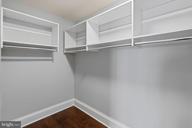 walk in closet with dark wood-style flooring