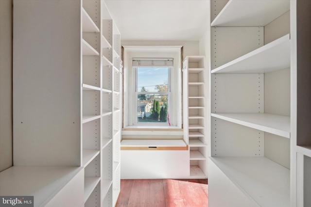 walk in closet with wood finished floors