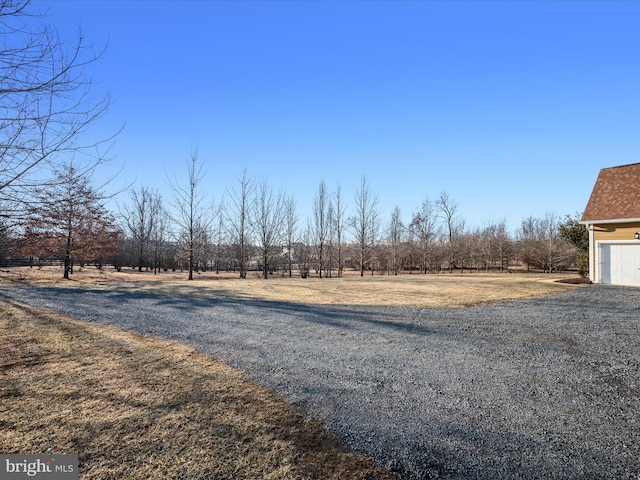 view of yard featuring a garage and driveway