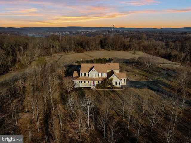 drone / aerial view featuring a mountain view