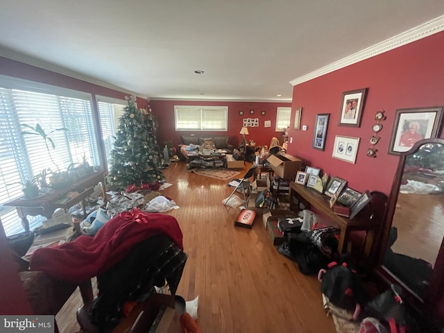 living area featuring wood finished floors and crown molding