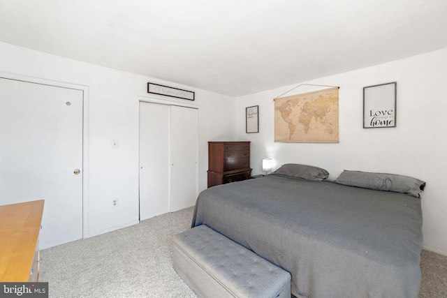 bedroom featuring carpet and a closet