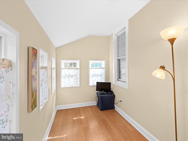 interior space with baseboards, lofted ceiling, and wood finished floors