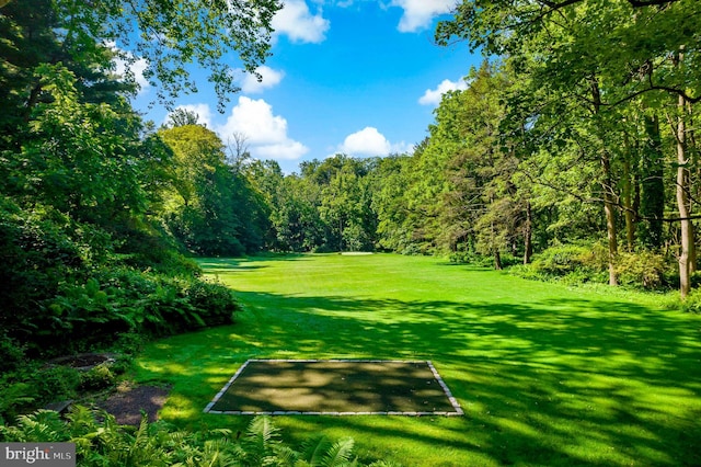 view of community with a wooded view and a yard