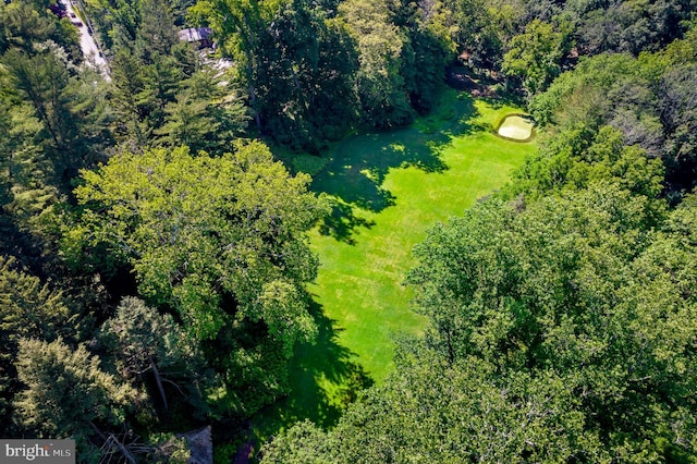 bird's eye view with a view of trees