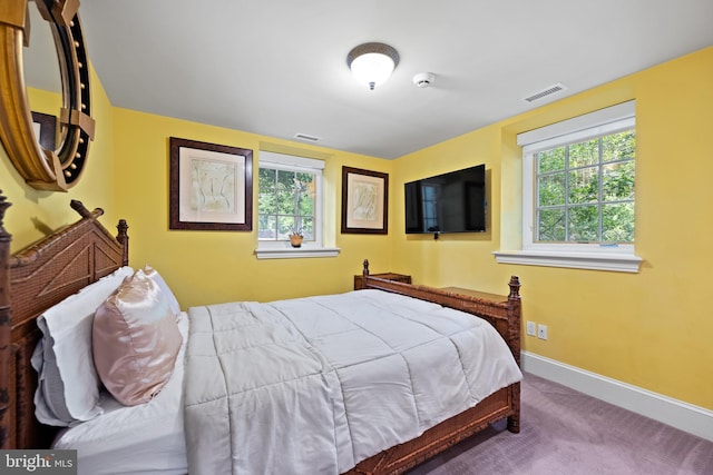 carpeted bedroom with visible vents, baseboards, and multiple windows