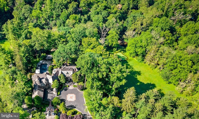 bird's eye view featuring a view of trees