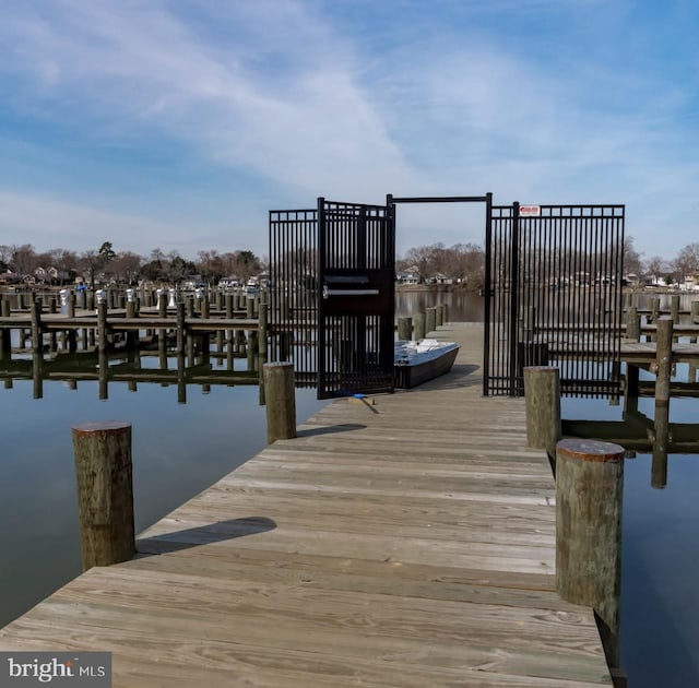 dock area with a water view