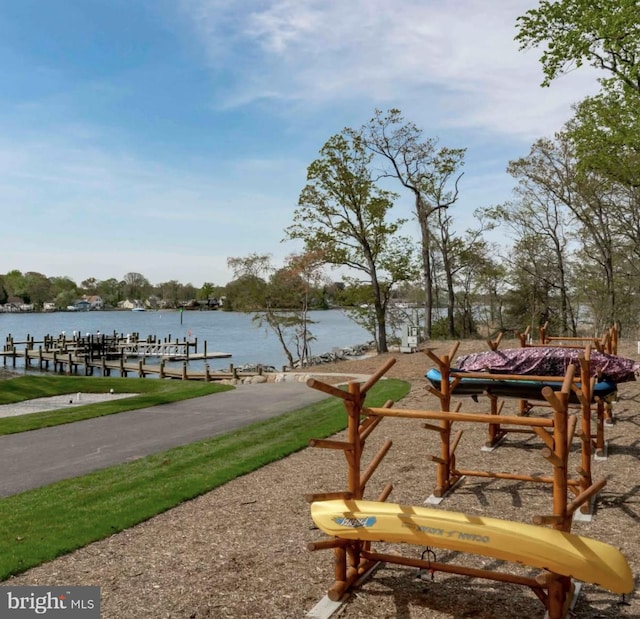 view of community with a water view and a boat dock