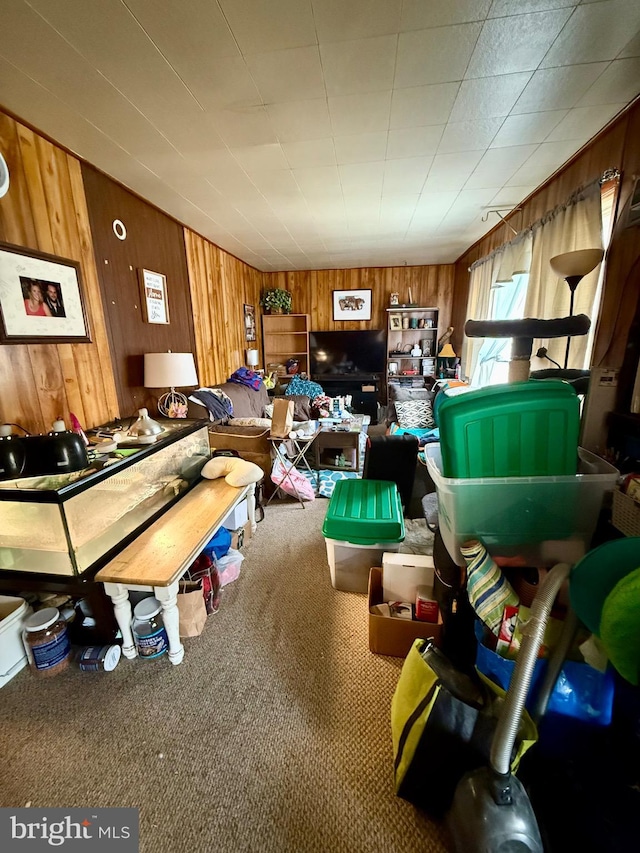 miscellaneous room featuring wooden walls and carpet flooring