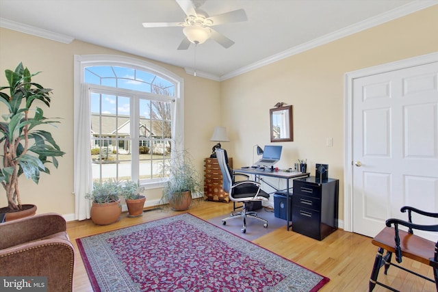 office featuring baseboards, ceiling fan, light wood finished floors, and crown molding