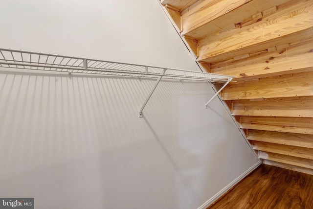 spacious closet featuring wood finished floors