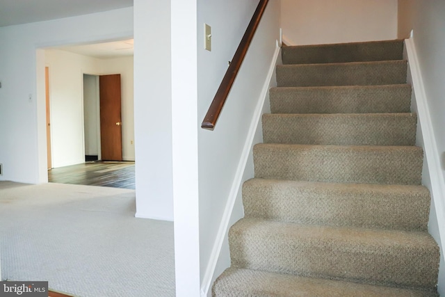 stairway with carpet floors