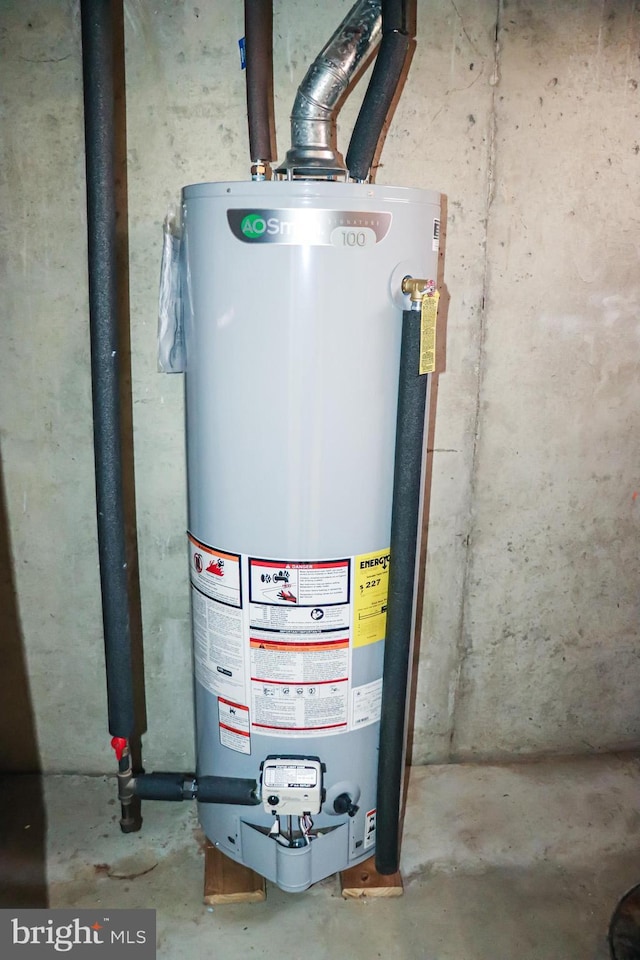 utility room with gas water heater