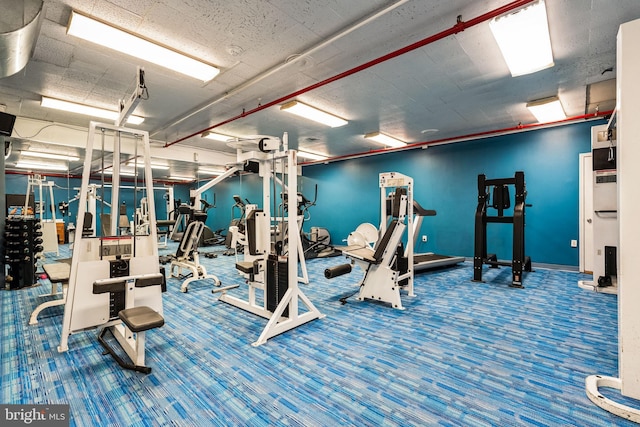 gym featuring carpet flooring