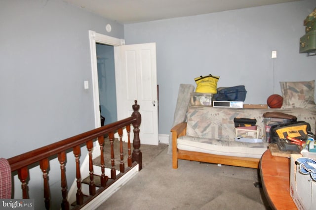 bedroom featuring carpet