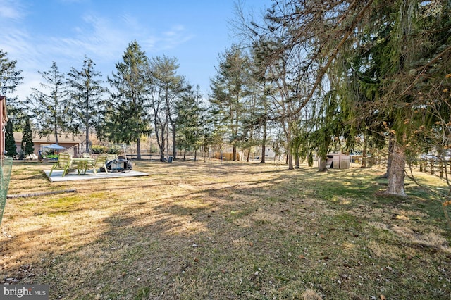 view of yard with a patio