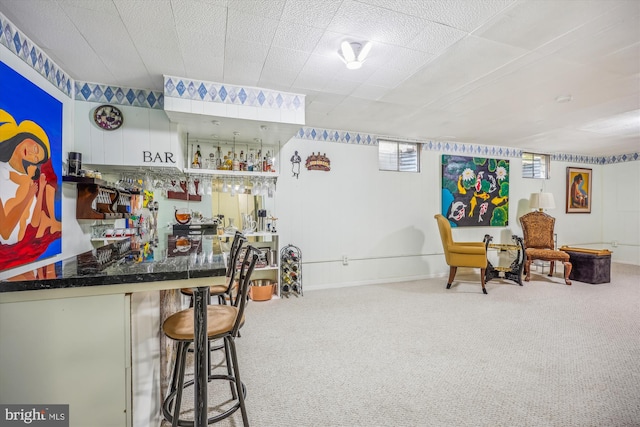 bar with carpet and a dry bar