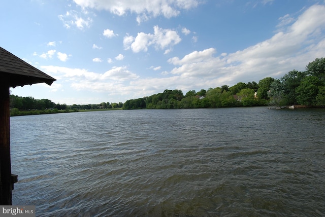 property view of water with a forest view