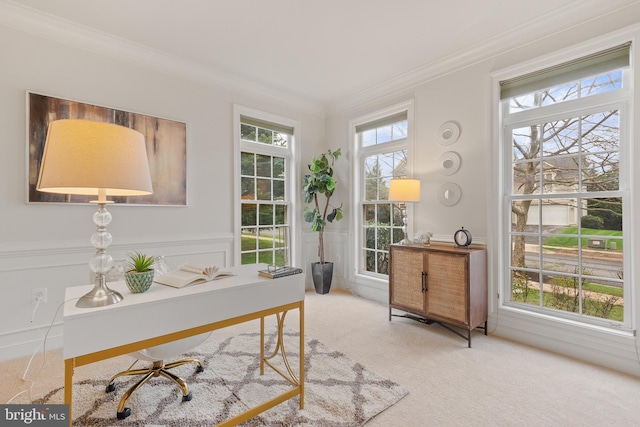 carpeted home office featuring ornamental molding and wainscoting