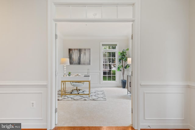 hall with a decorative wall, carpet, and crown molding