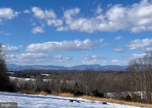 view of mountain feature featuring a view of trees