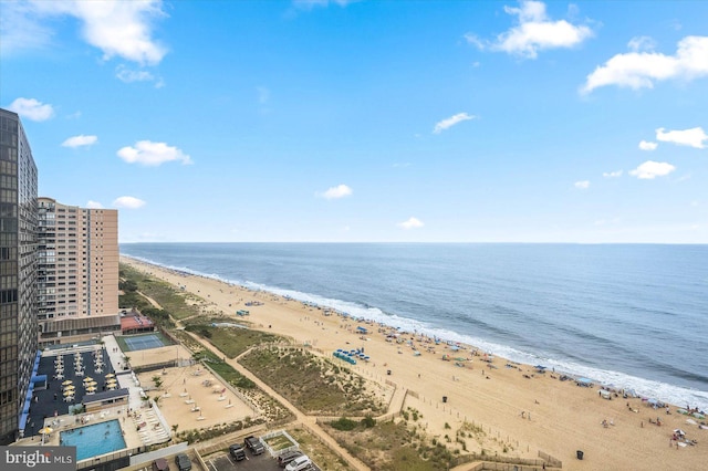 water view featuring a beach view