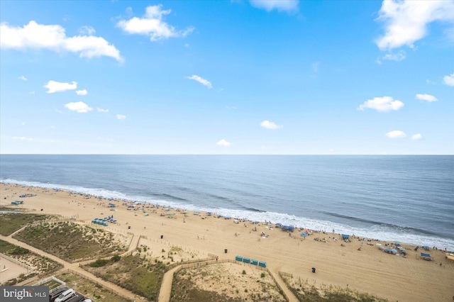 water view with a view of the beach