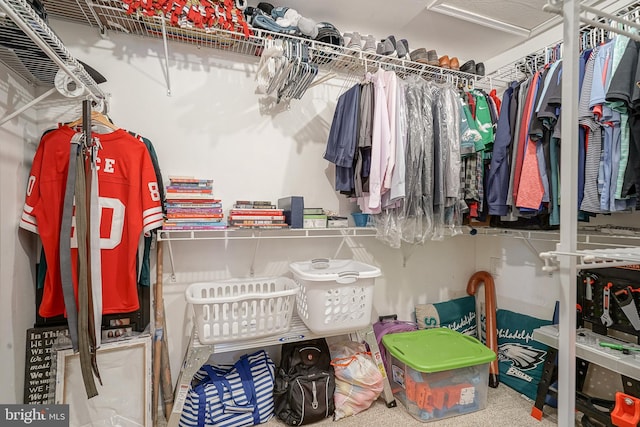 spacious closet featuring carpet flooring