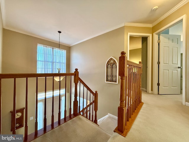 stairway featuring an inviting chandelier, carpet, baseboards, and ornamental molding