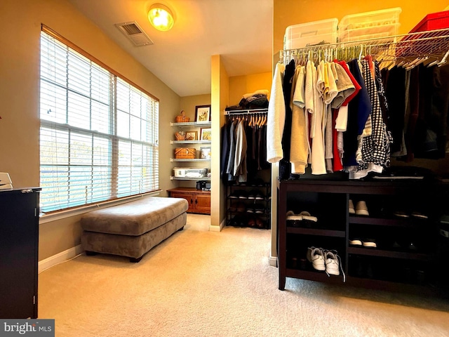 walk in closet with visible vents and carpet