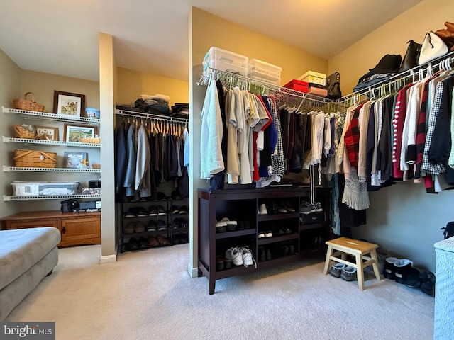 spacious closet featuring carpet flooring