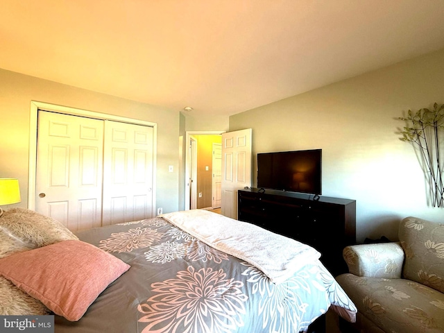 bedroom featuring a closet