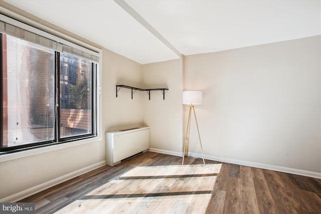 spare room featuring a healthy amount of sunlight, baseboards, and wood finished floors