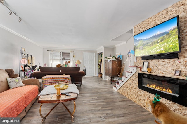 living room featuring a glass covered fireplace, stairway, ornamental molding, wood finished floors, and rail lighting