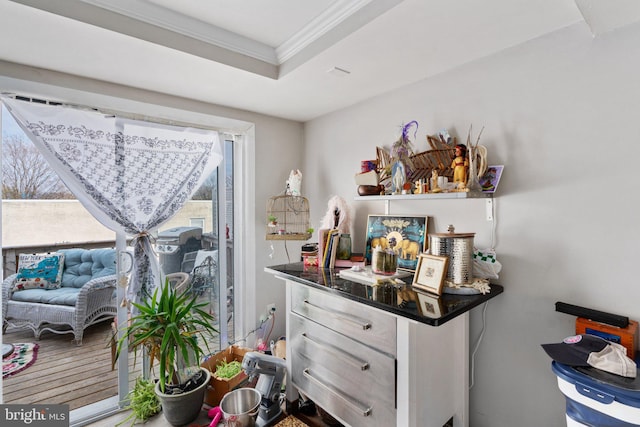 interior space featuring a tray ceiling and crown molding