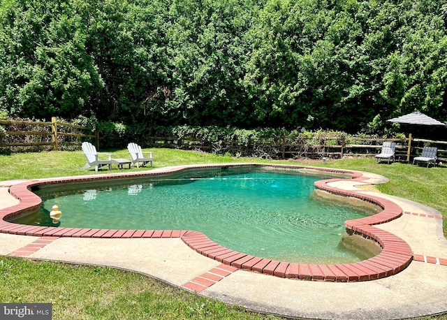 view of swimming pool featuring a fenced in pool, fence, and a lawn