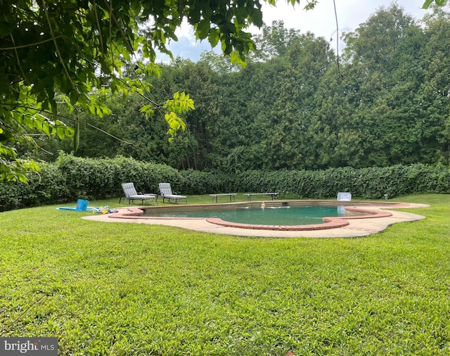 view of community featuring a swimming pool and a lawn