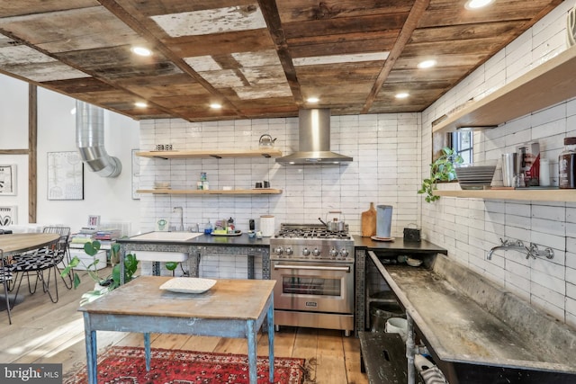 kitchen with extractor fan, a sink, light wood-style floors, high end stainless steel range, and decorative backsplash